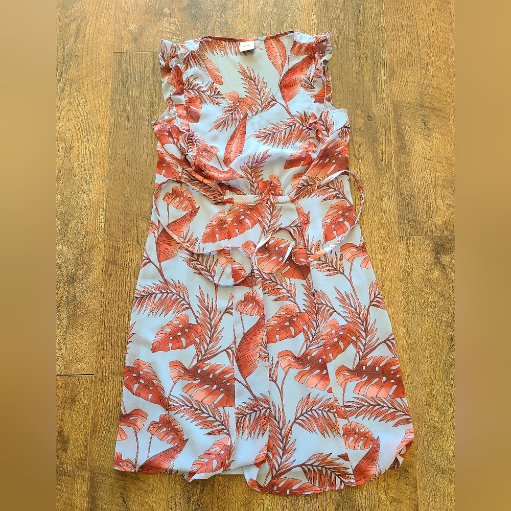 Cabi Dress Size Small